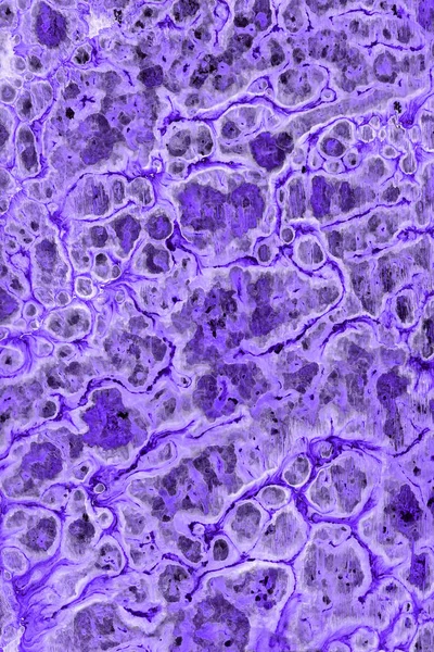 Фиолетовый Абстрактный Фон Брызгами Краски Текстуры — стоковое фото