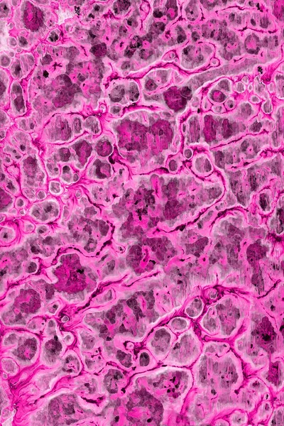 Розовый Абстрактный Фон Брызгами Краски Текстуры — стоковое фото