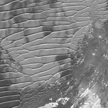 gri akrilik boya doku, arka plan