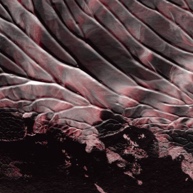 kırmızı akrilik boya doku, arka plan