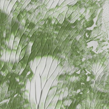 yeşil akrilik boya doku, arka plan