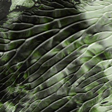 yeşil akrilik boya doku, arka plan