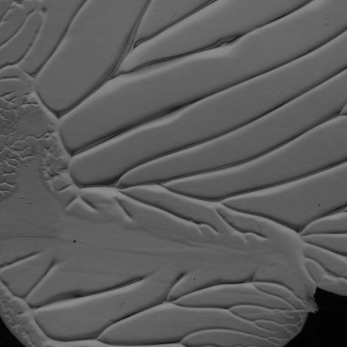 siyah akrilik boya doku, arka plan