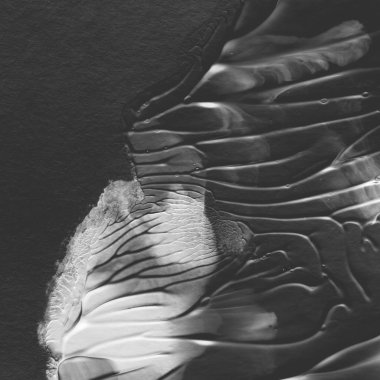 gri akrilik boya doku, arka plan