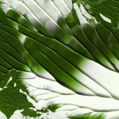 yeşil akrilik boya doku, arka plan