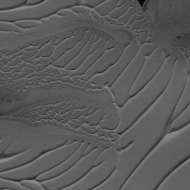 siyah akrilik boya doku, arka plan