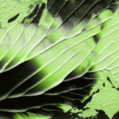 yeşil akrilik boya doku, arka plan