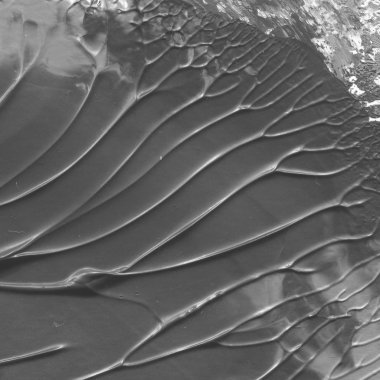 gri akrilik boya doku, arka plan