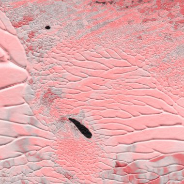 kırmızı akrilik boya doku, arka plan