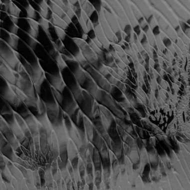 siyah akrilik boya doku, arka plan