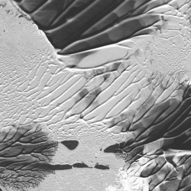 gri akrilik boya doku, arka plan