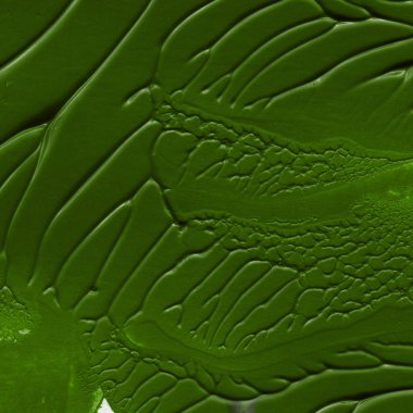 yeşil akrilik boya doku, arka plan