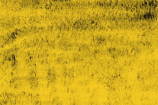 Fondo Pantalla Abstracto Pintura Amarilla Salpica Textura — Foto de Stock