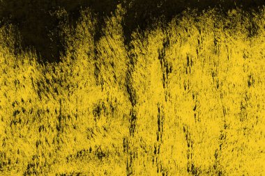 Sarı Mürekkep doku, arka plan