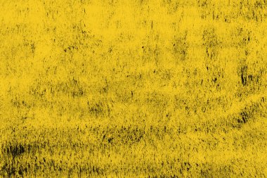 Sarı Mürekkep doku, arka plan