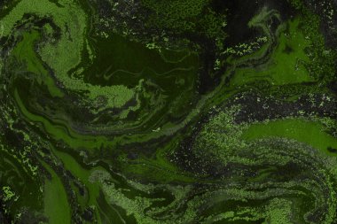 Yeşil mermer arka plan boya ile doku sıçramalarına