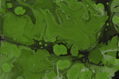 Yeşil mermer arka plan boya ile doku sıçramalarına