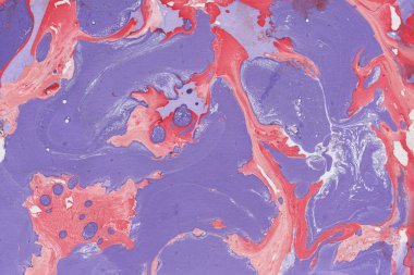 Boyalı çok renkli arkaplan desen sıçratır