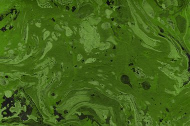 Yeşil mermer arka plan boya ile doku sıçramalarına