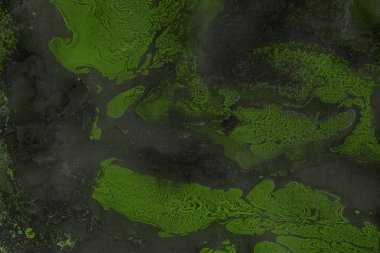 Yeşil mermer arka plan boya ile doku sıçramalarına