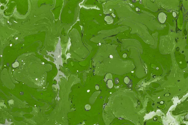 Yeşil mermer arka plan boya ile doku sıçramalarına