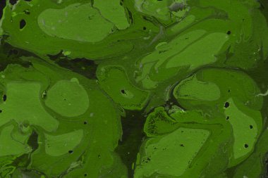 Yeşil mermer arka plan boya ile doku sıçramalarına