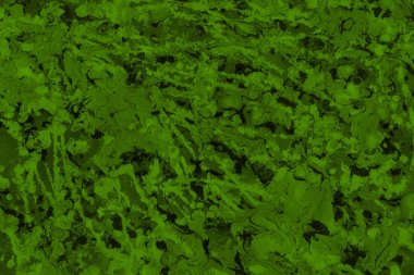 Yeşil soyut boya arka plan tam kare görüntü