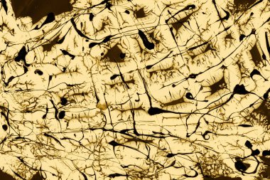 tam kare resmi altın soyut boya arka plan