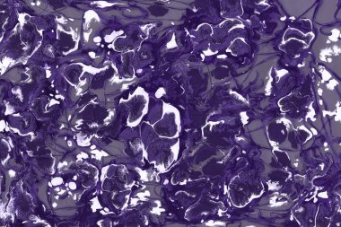 Mor boya doku, arka plan