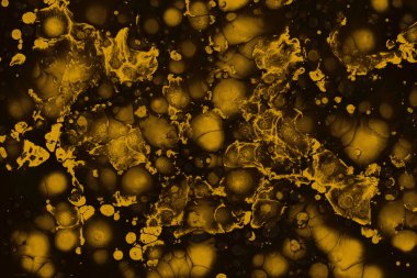 tam kare resmi altın soyut boya arka plan