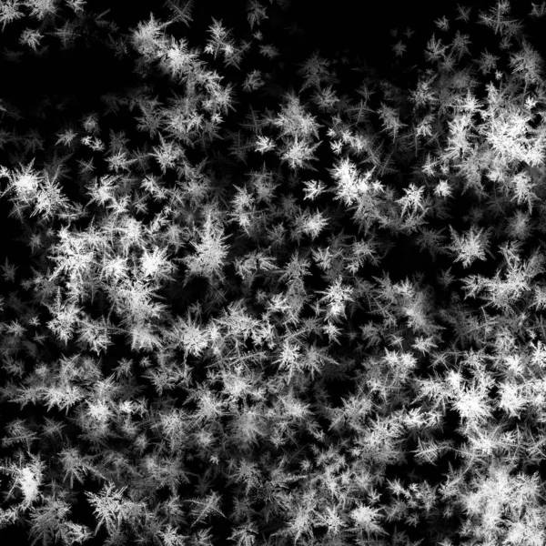 Fundo Abstrato Escuro Com Textura Congelamento Branco — Fotografia de Stock