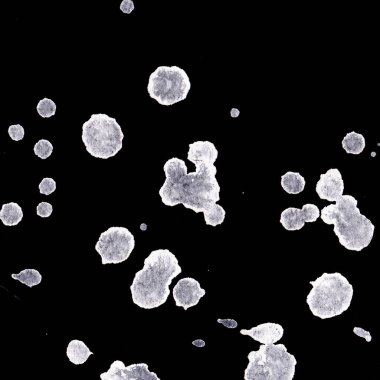 Soyut Beyaz boya doku siyah arka plan üzerine splatters