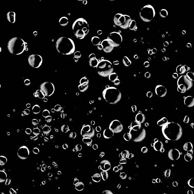 Siyah arka plan üzerine beyaz su kabarcıkları izole. Su damla yağmur. Sualtı oksijen.