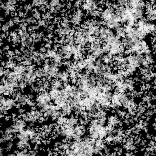 Dark Abstract Background White Freeze Texture — Stock Photo, Image