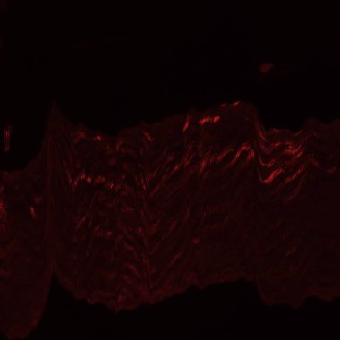 Kırmızı dijital ekran aksaklık etkisi doku soyut.