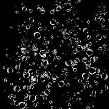 Siyah arka plan üzerine beyaz su kabarcıkları izole. Su damla yağmur. Sualtı oksijen.