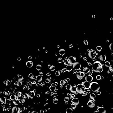 Siyah arka plan üzerine beyaz su kabarcıkları izole. Su damla yağmur. Sualtı oksijen.