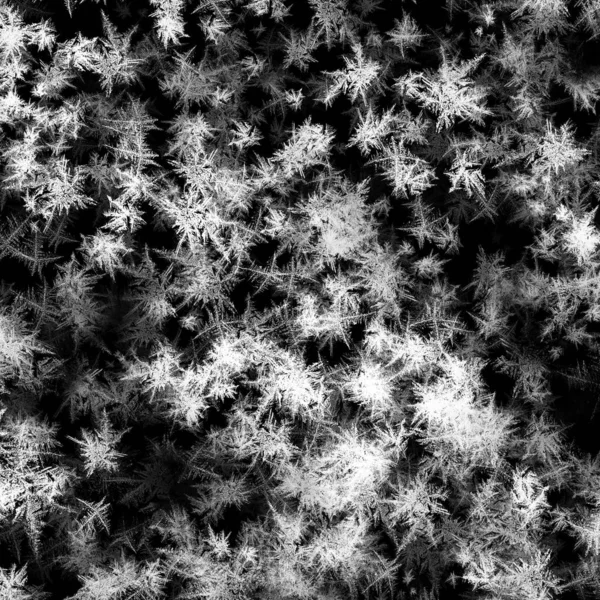 Dark Abstract Background White Freeze Texture — Stock Photo, Image