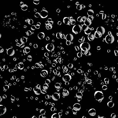 Siyah arka plan üzerine beyaz su kabarcıkları izole. Su damla yağmur. Sualtı oksijen.