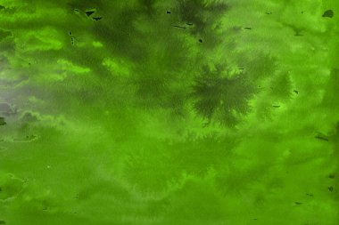 Kağıt arka plan üzerinde yeşil suluboya boya