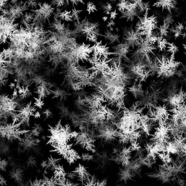 Dark Abstract Background White Freeze Texture — Stock Photo, Image