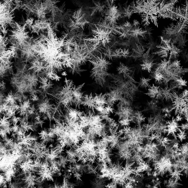 Dark Abstract Background White Freeze Texture — Stock Photo, Image