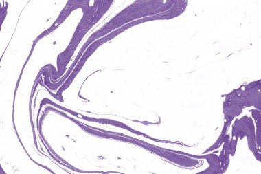 boya desenli mor mermer arkaplan