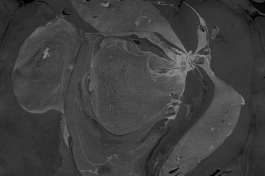 Siyah mermer arka plan boya ile doku sıçramalarına