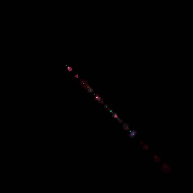 siyah gece arka plan üzerinde gerçekçi objektif parlama görsel etkisi. Uzay yıldızı. 