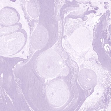 Arkaplan için mermer doğal desen