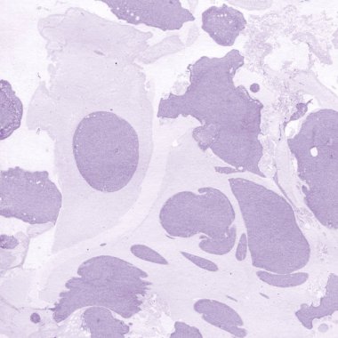 arka plan olarak renk Mermer yüzey 