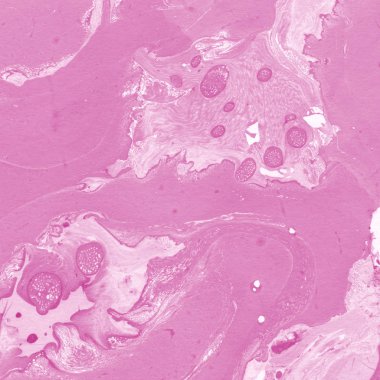 arka plan olarak renk Mermer yüzey 