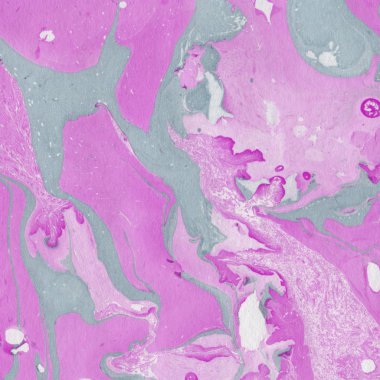 Arkaplan olarak yaratıcı yeşil mermer yüzey  