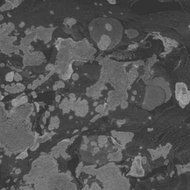 Arkaplan olarak yaratıcı yeşil mermer yüzey  